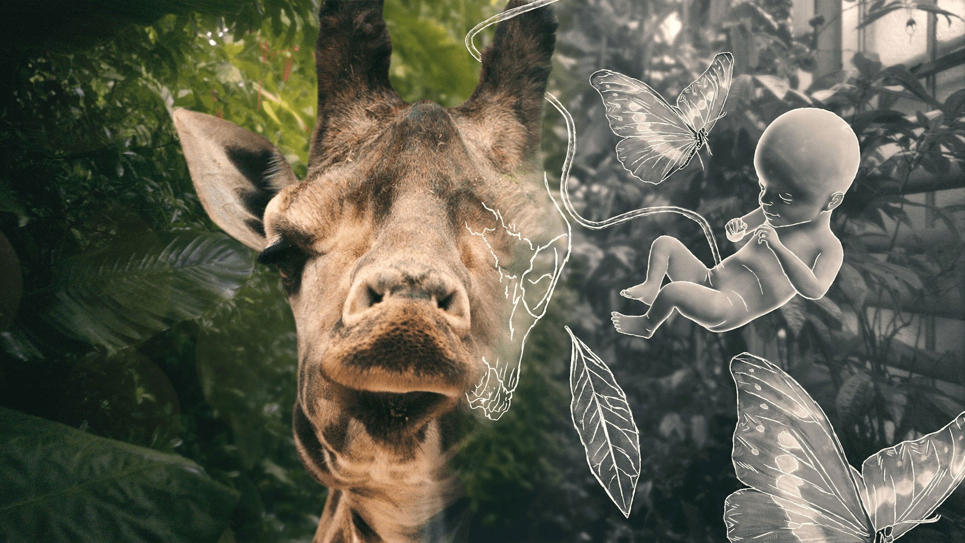 Life and Other Problems Background