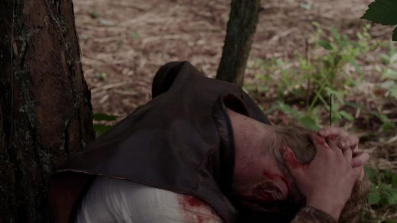 The Lost Viking Background