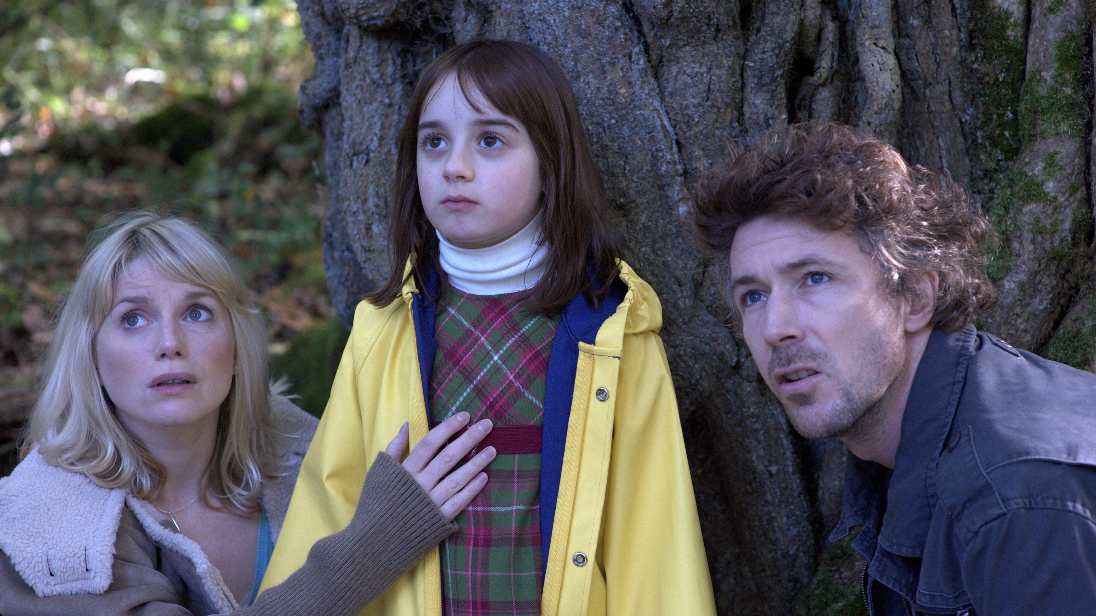 Wake Wood Background