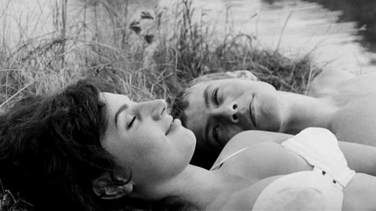 The Sun in a Net Background