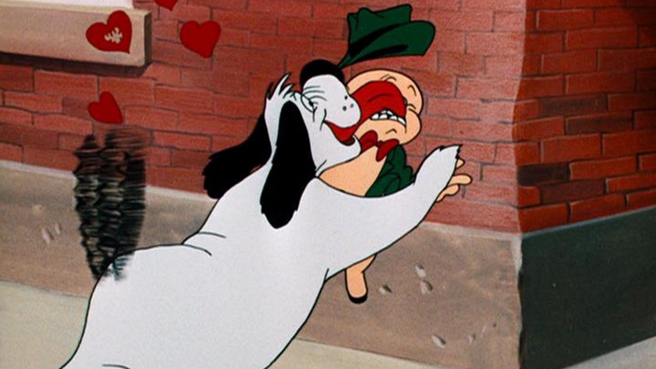 Dog Collared Background