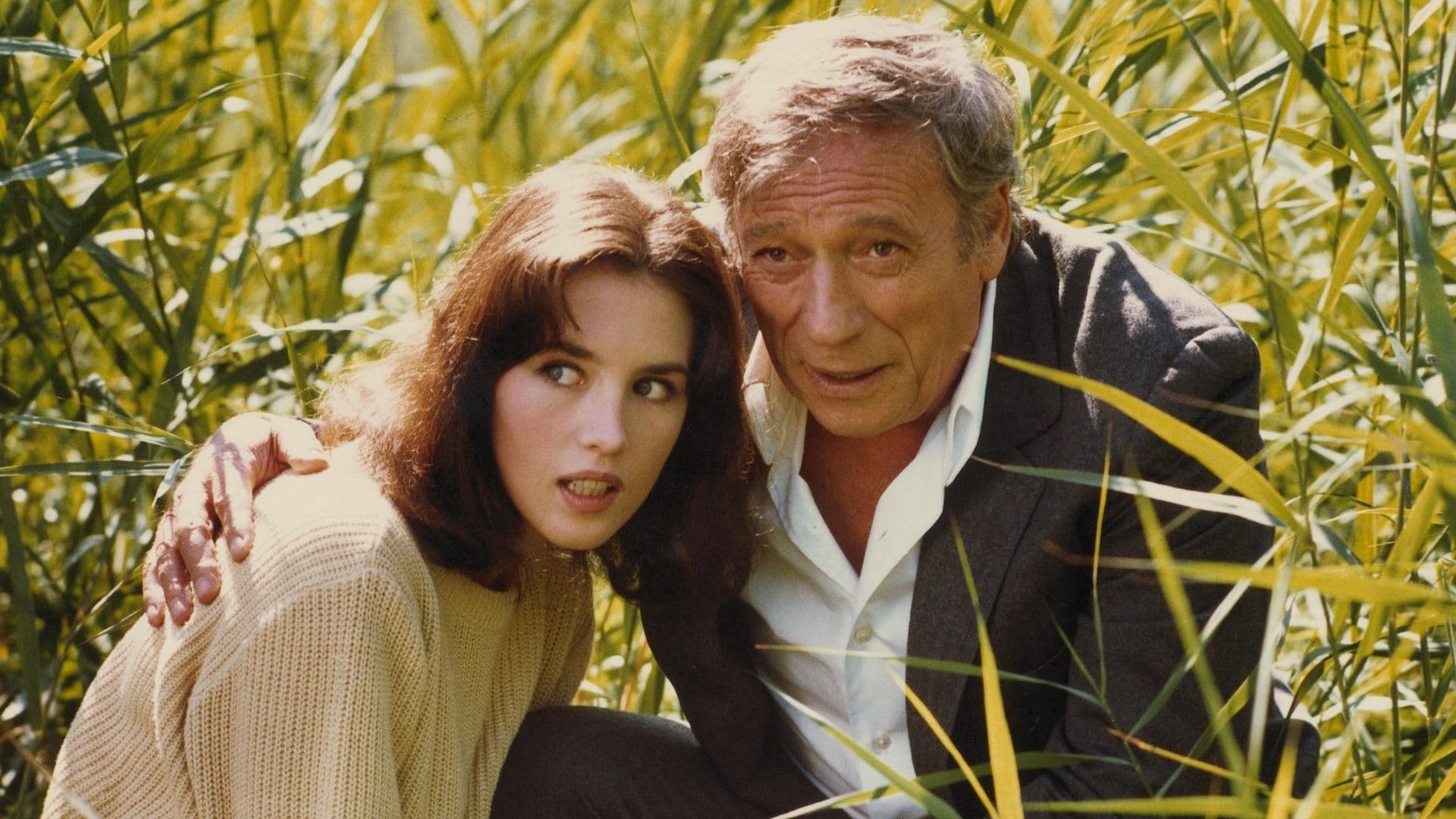 All Fired Up Background