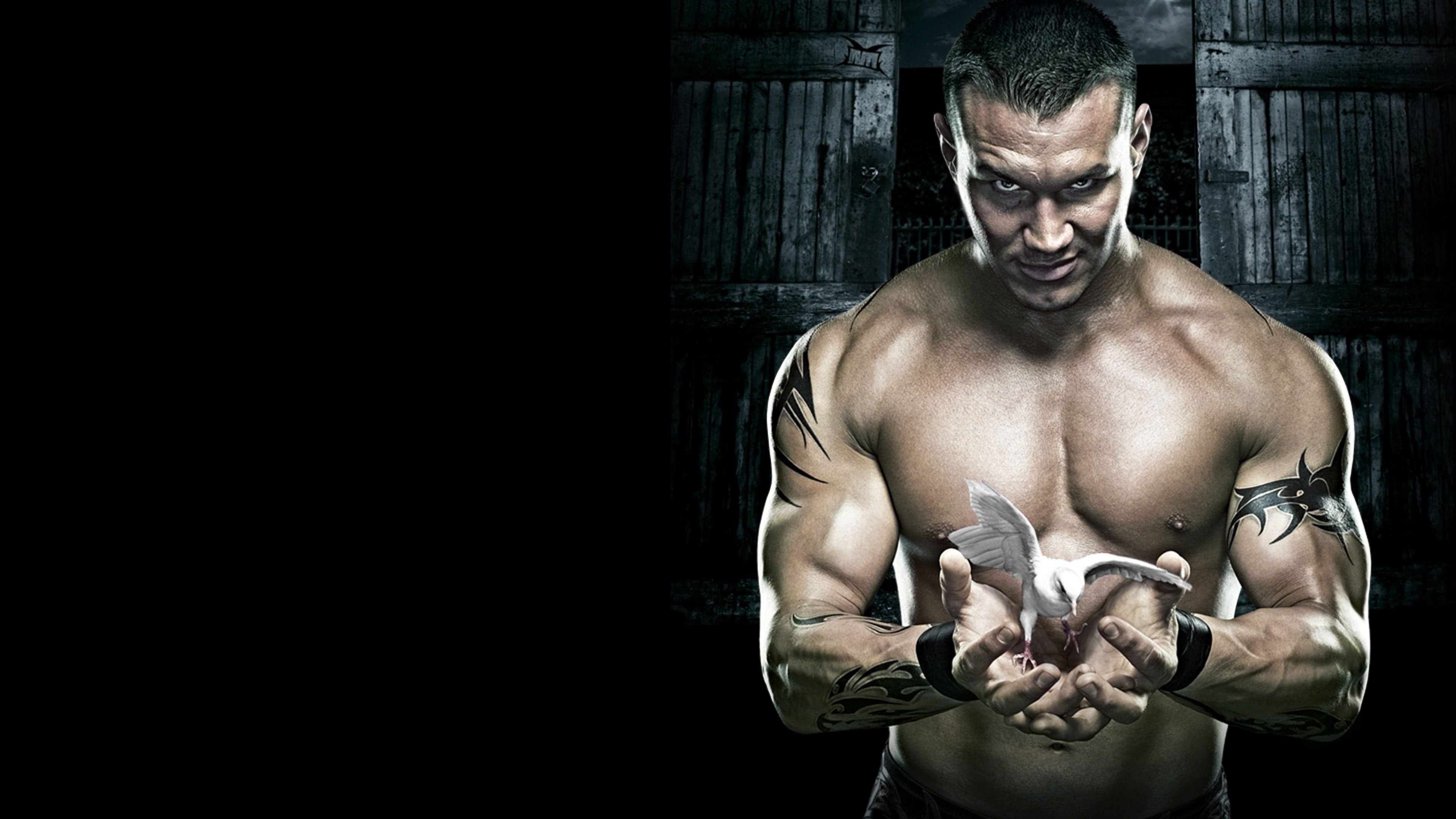 WWE No Mercy 2007 Background