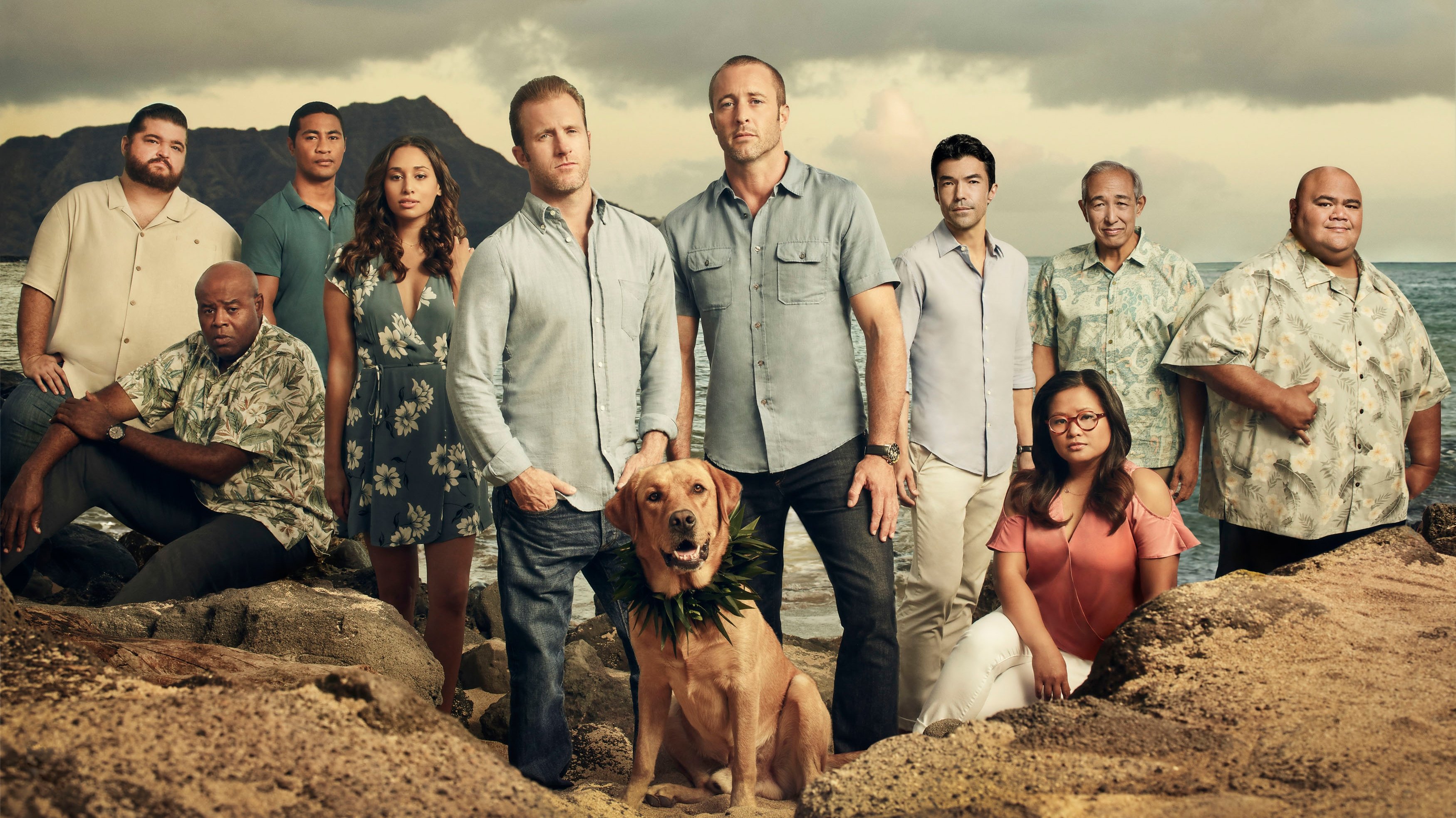 Hawaii Five-0 Background
