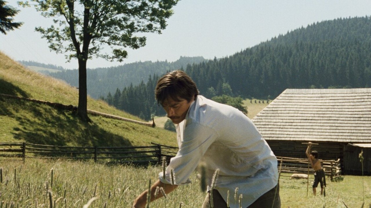 Shadows of a Hot Summer Background