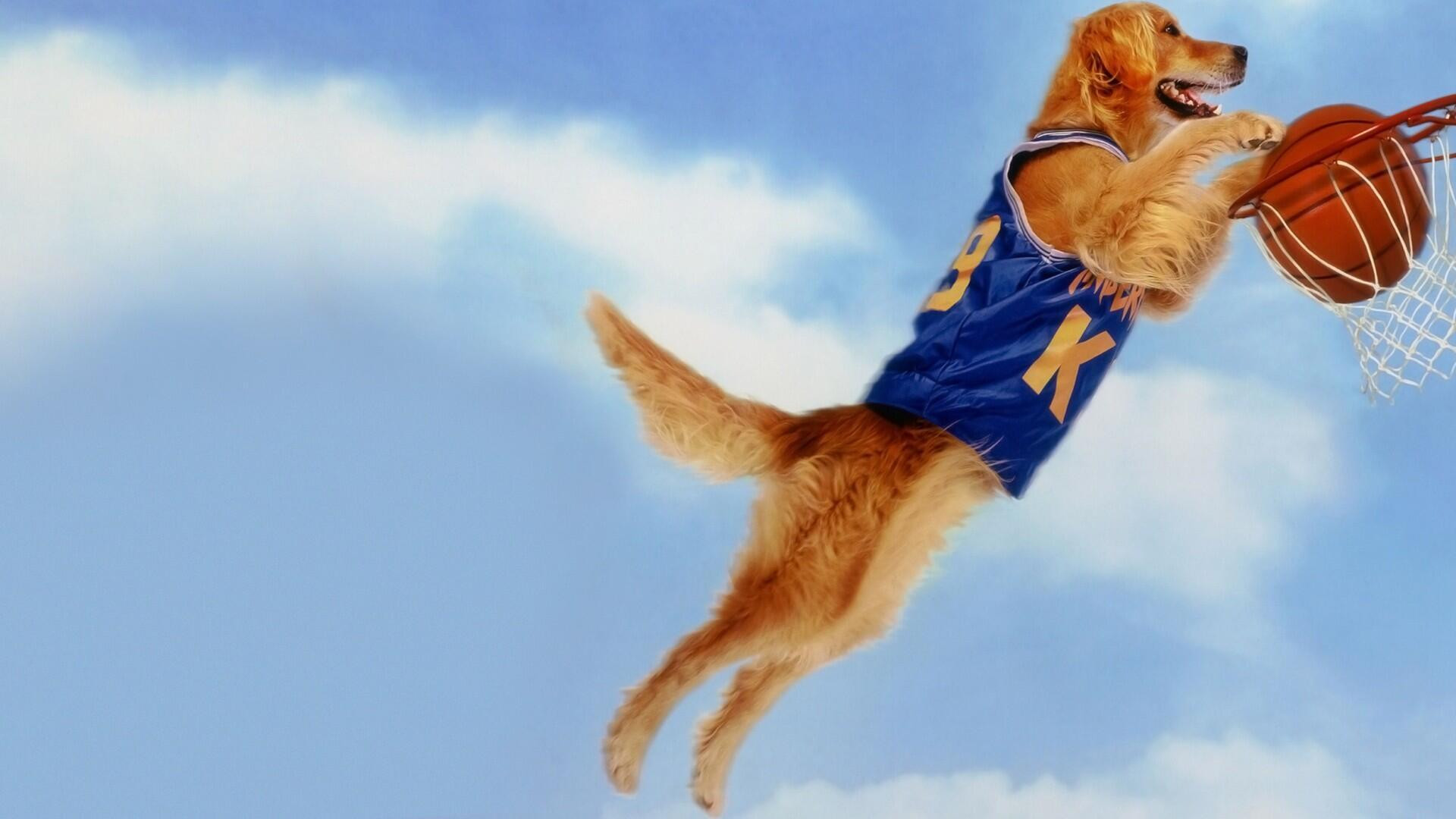 Air Bud Background