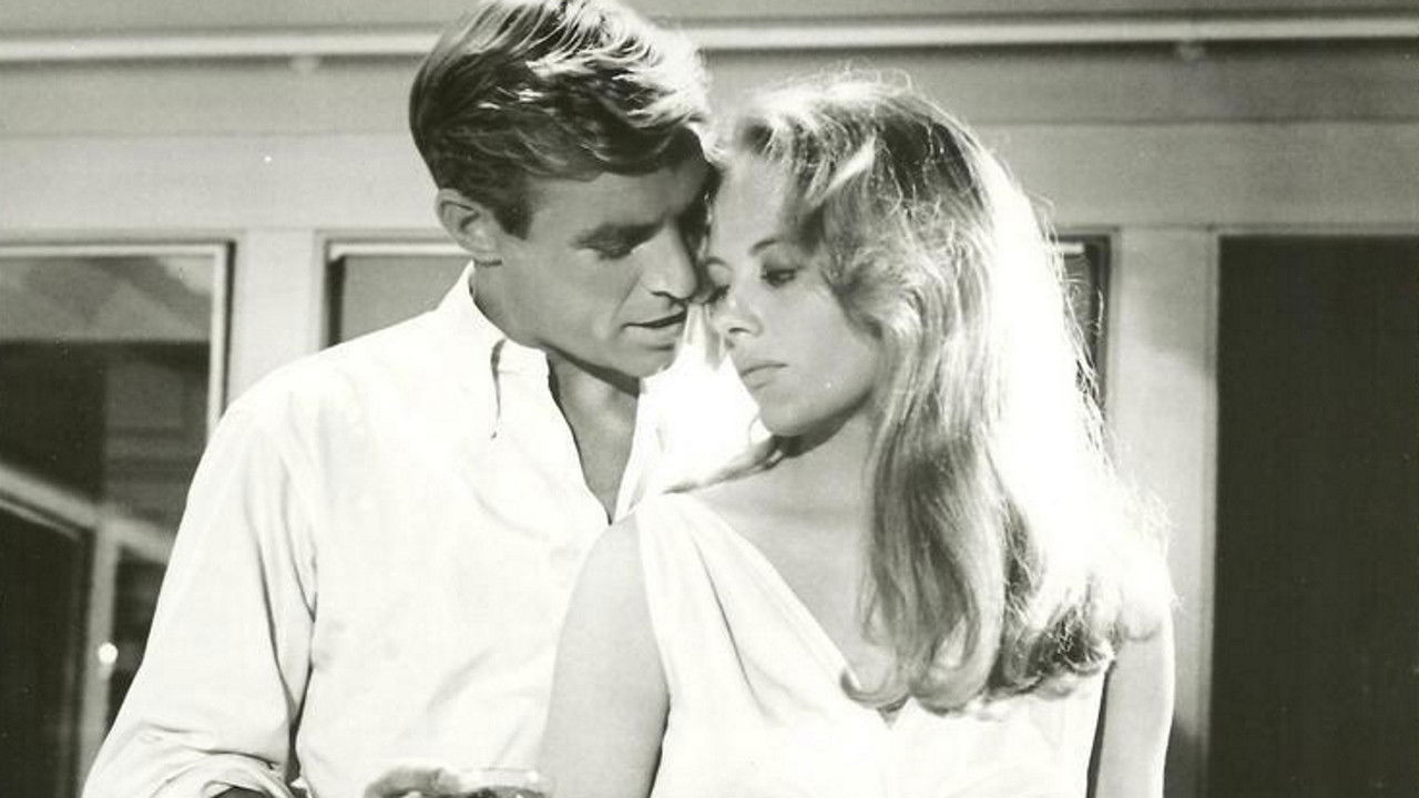 Shadow Over Elveron Background