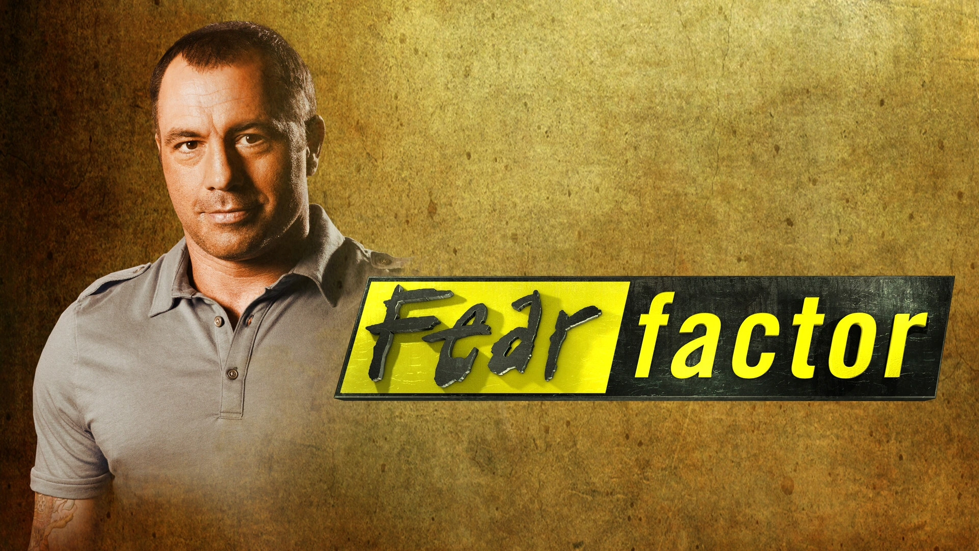 Fear Factor Background