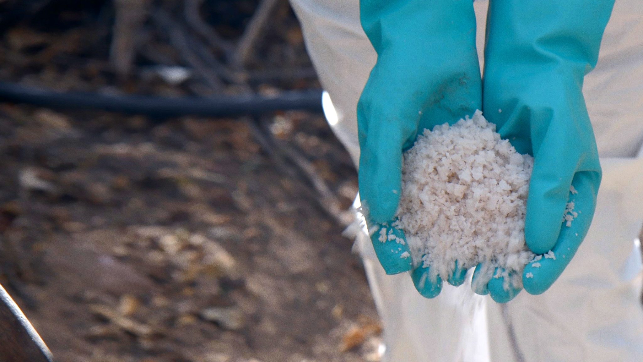 Narco Wars Background