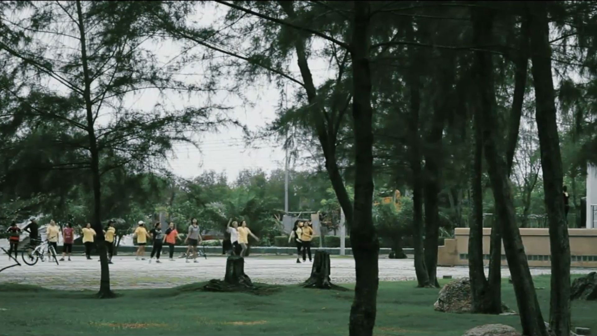 Homogeneous, Empty Time Background