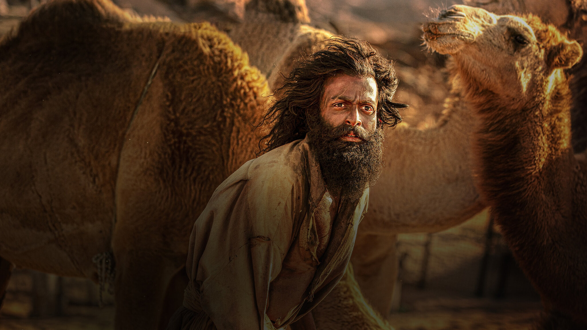 The Goat Life Background