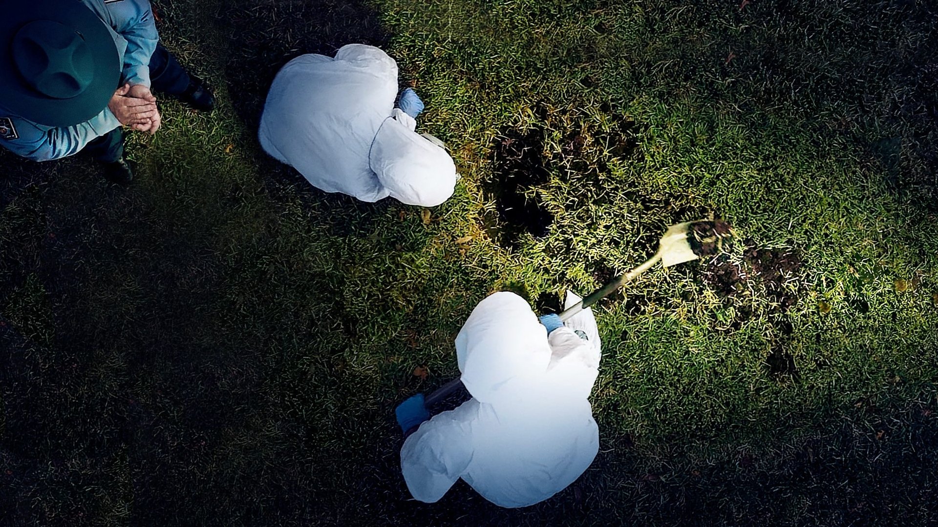 Buried In The Backyard Background