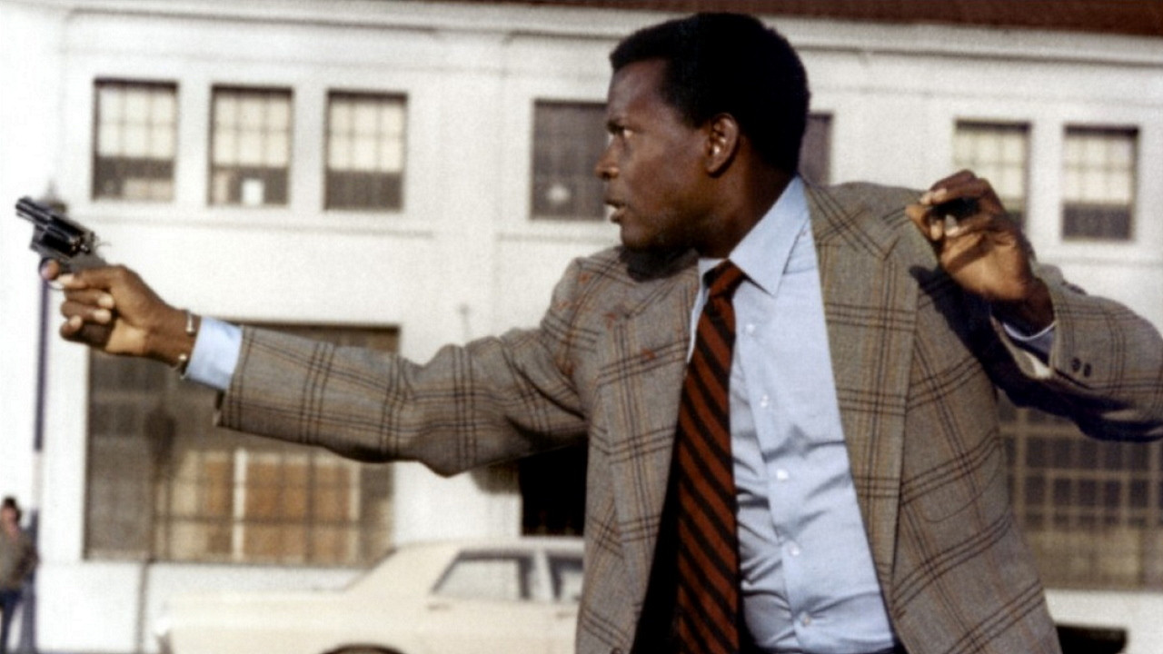 The Organization Background