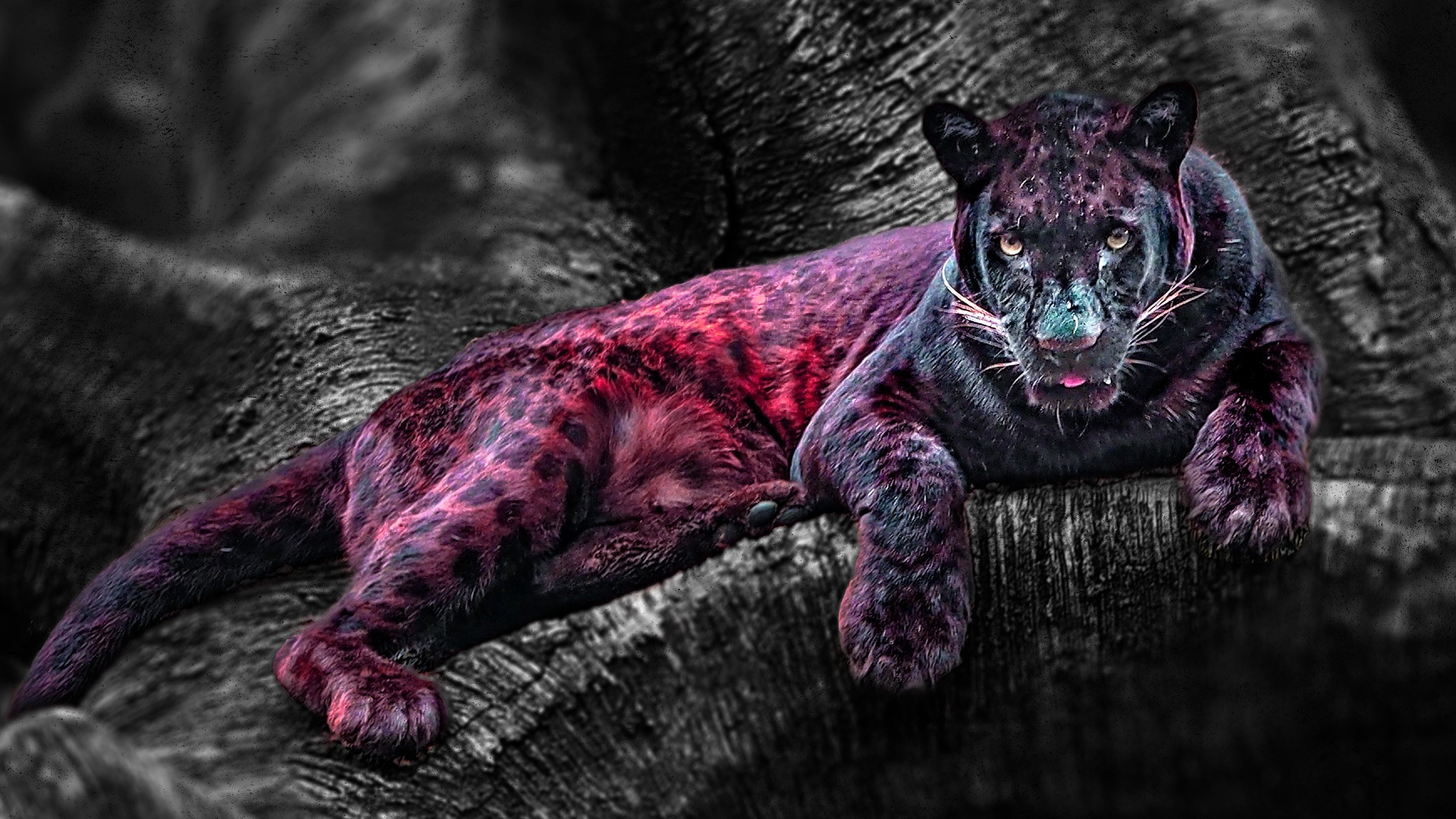 Fatal Attractions Background