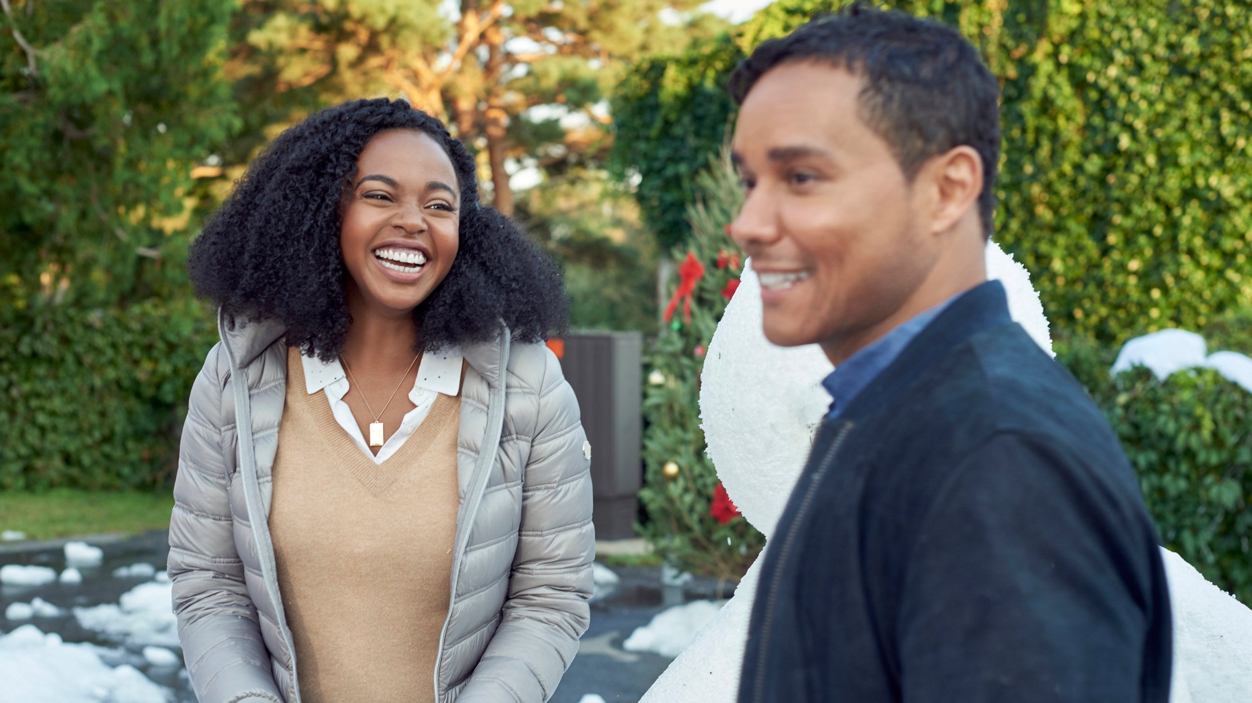 A Majestic Christmas Background