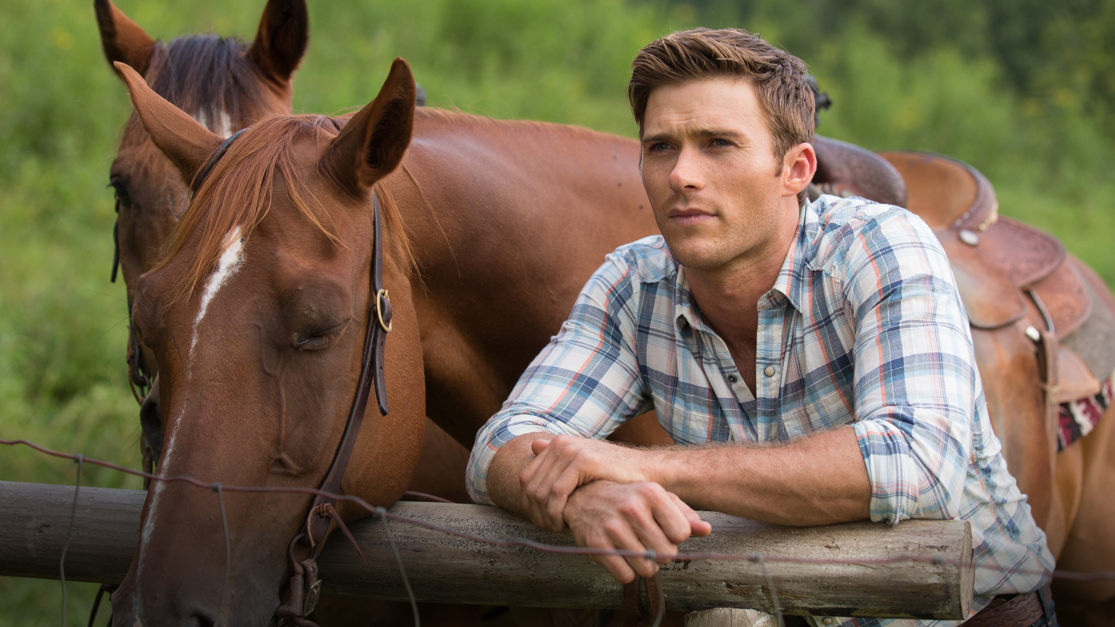 The Longest Ride Background