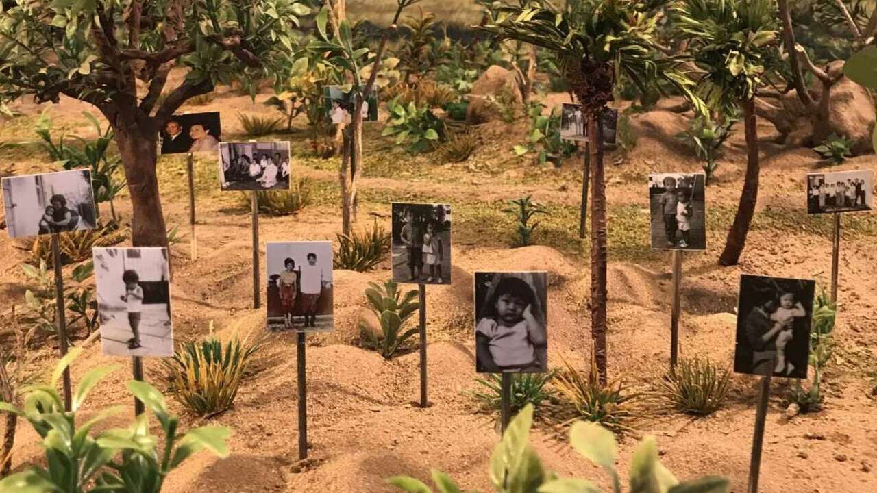 Graves Without a Name Background