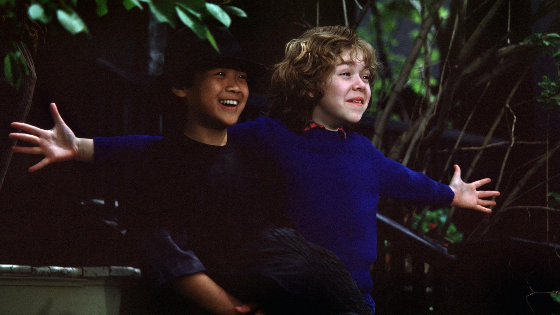 The Peanut Butter Solution Background