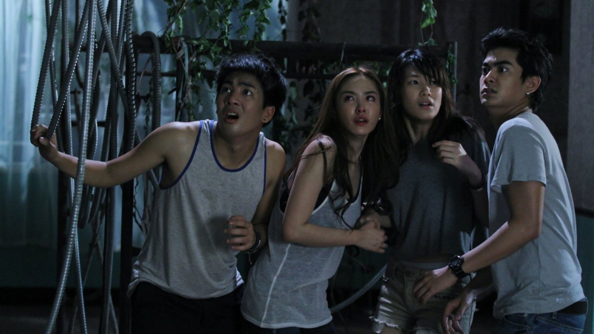 Long Weekend Background