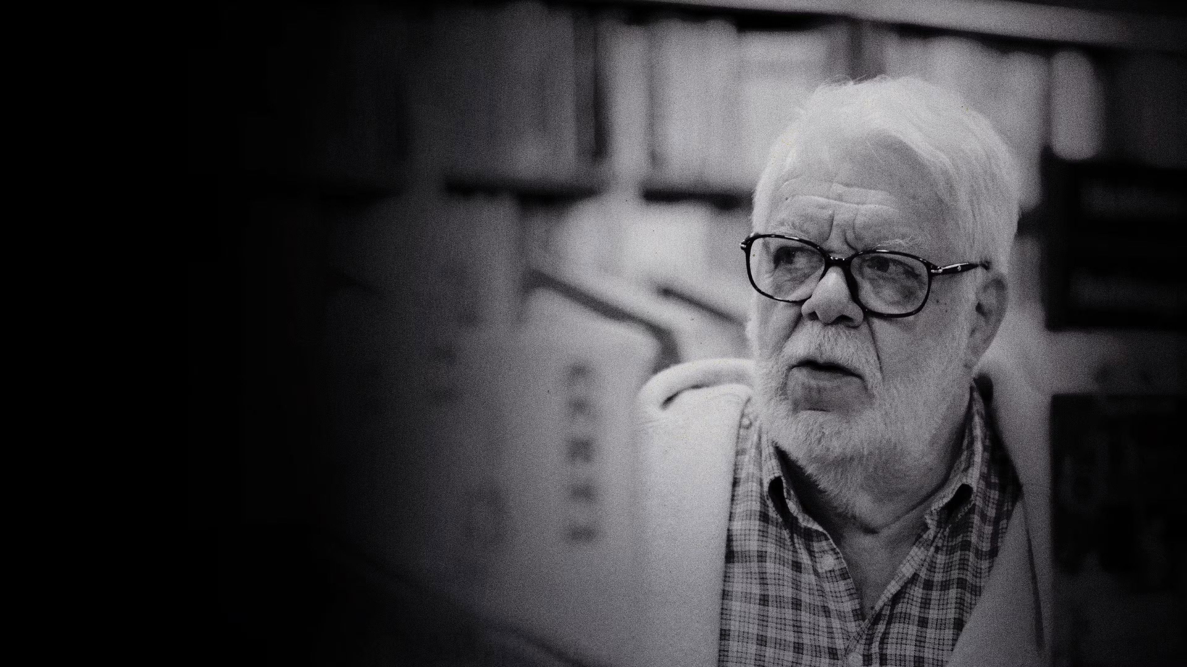 Tributo: Manoel Carlos Background