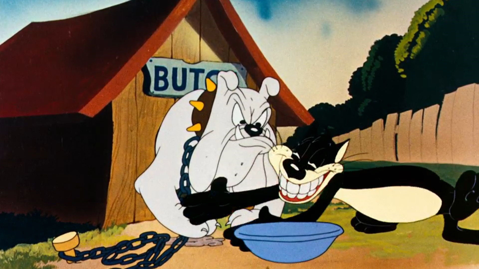 Birdy and the Beast Background