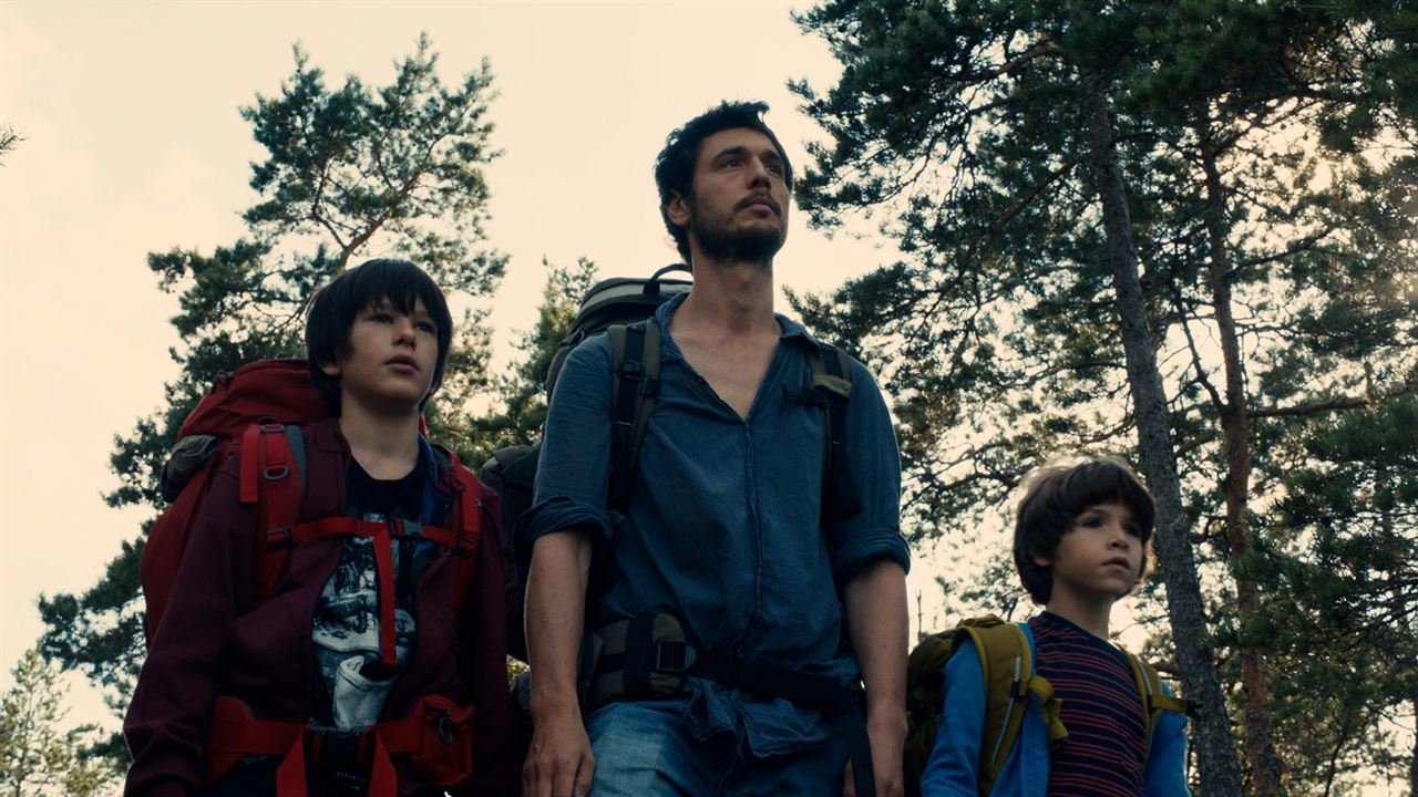 Into the Forest Background