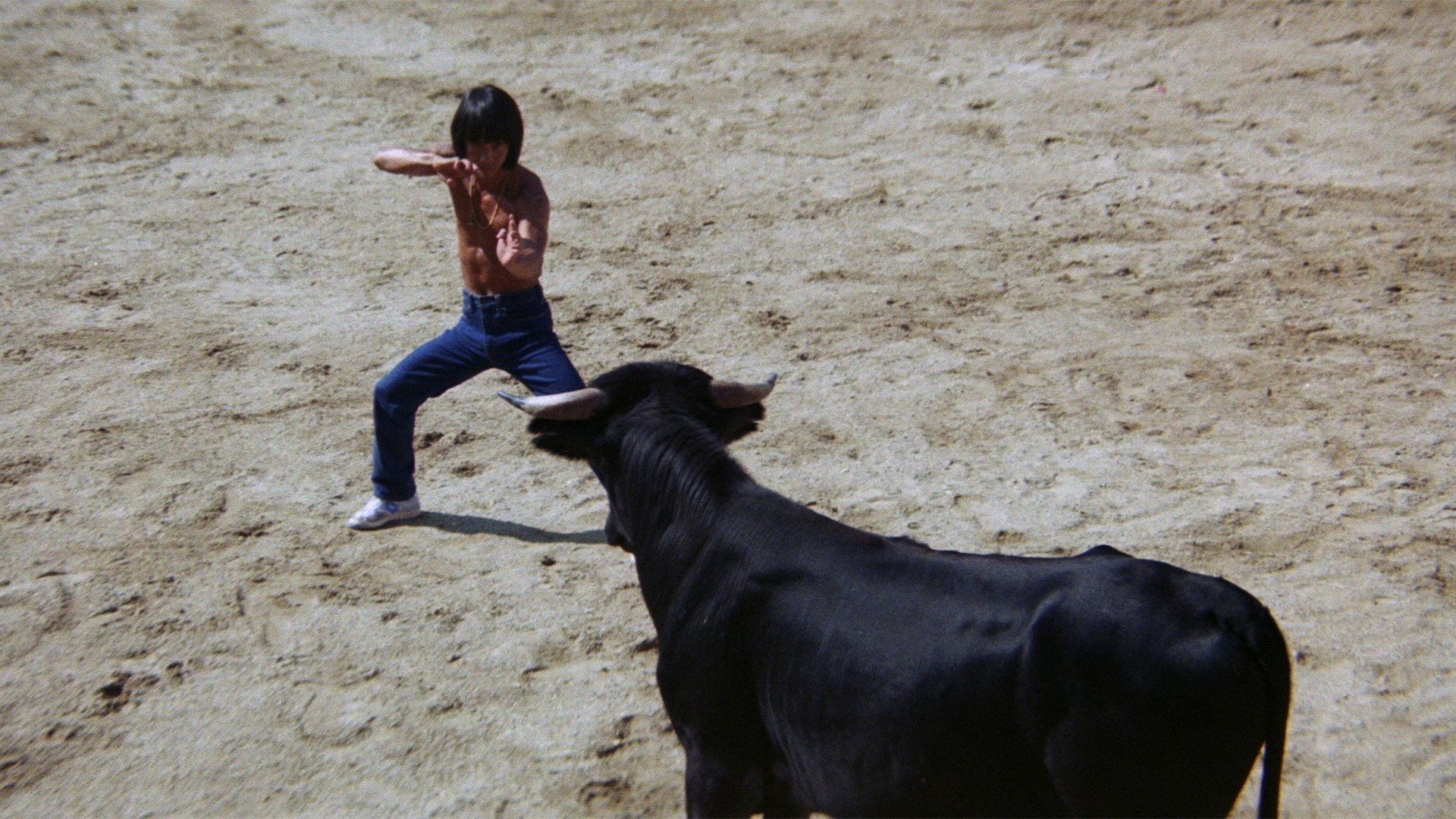 Challenge of the Tiger Background