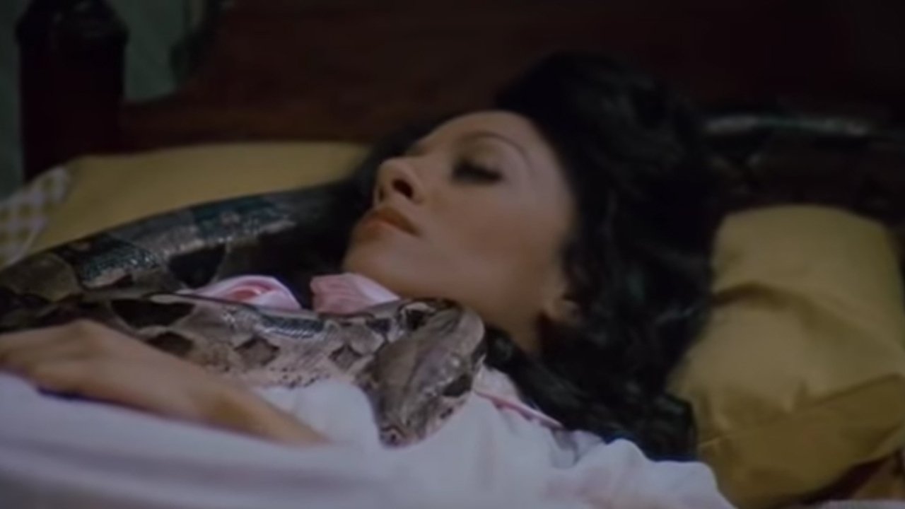 The House on Skull Mountain Background