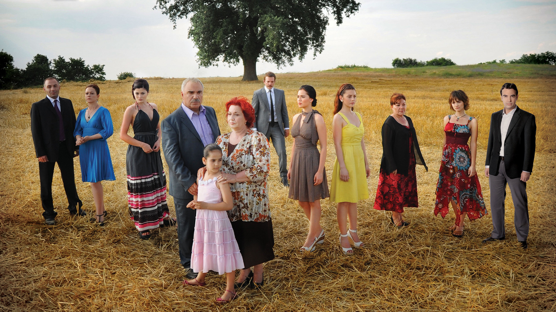 Falling Leaves Background