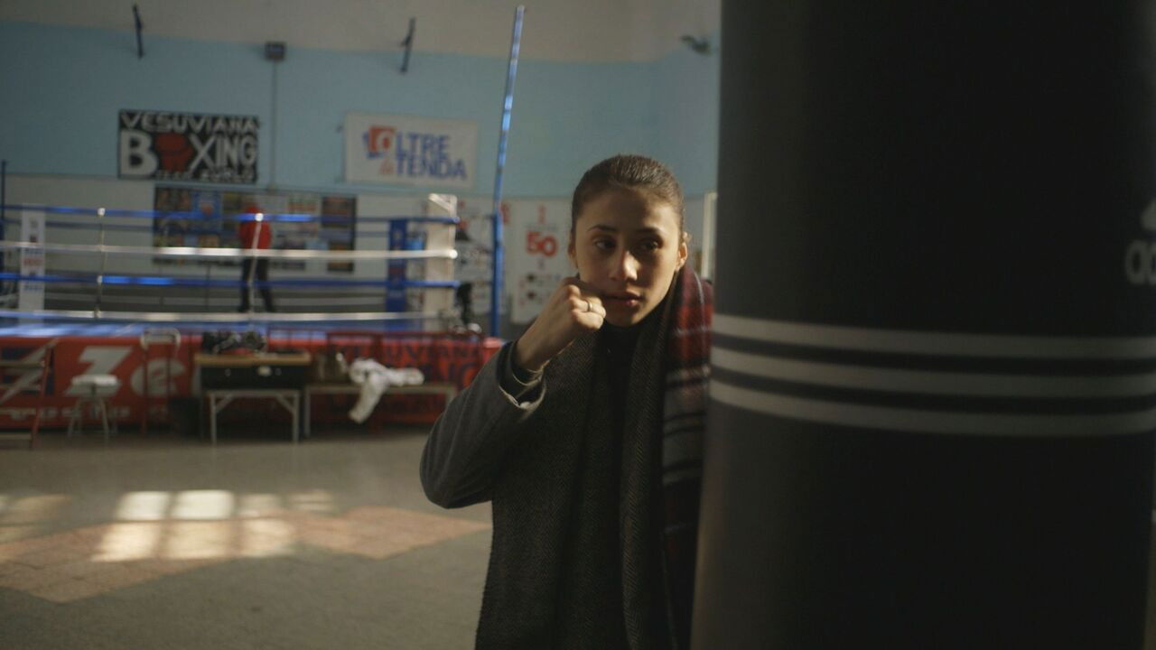 Butterfly Background