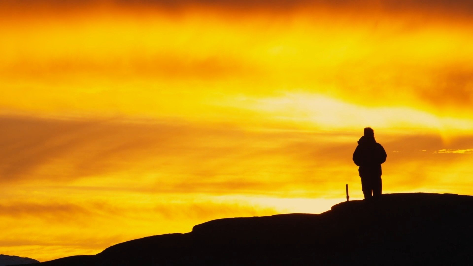 All.I.Can. Background