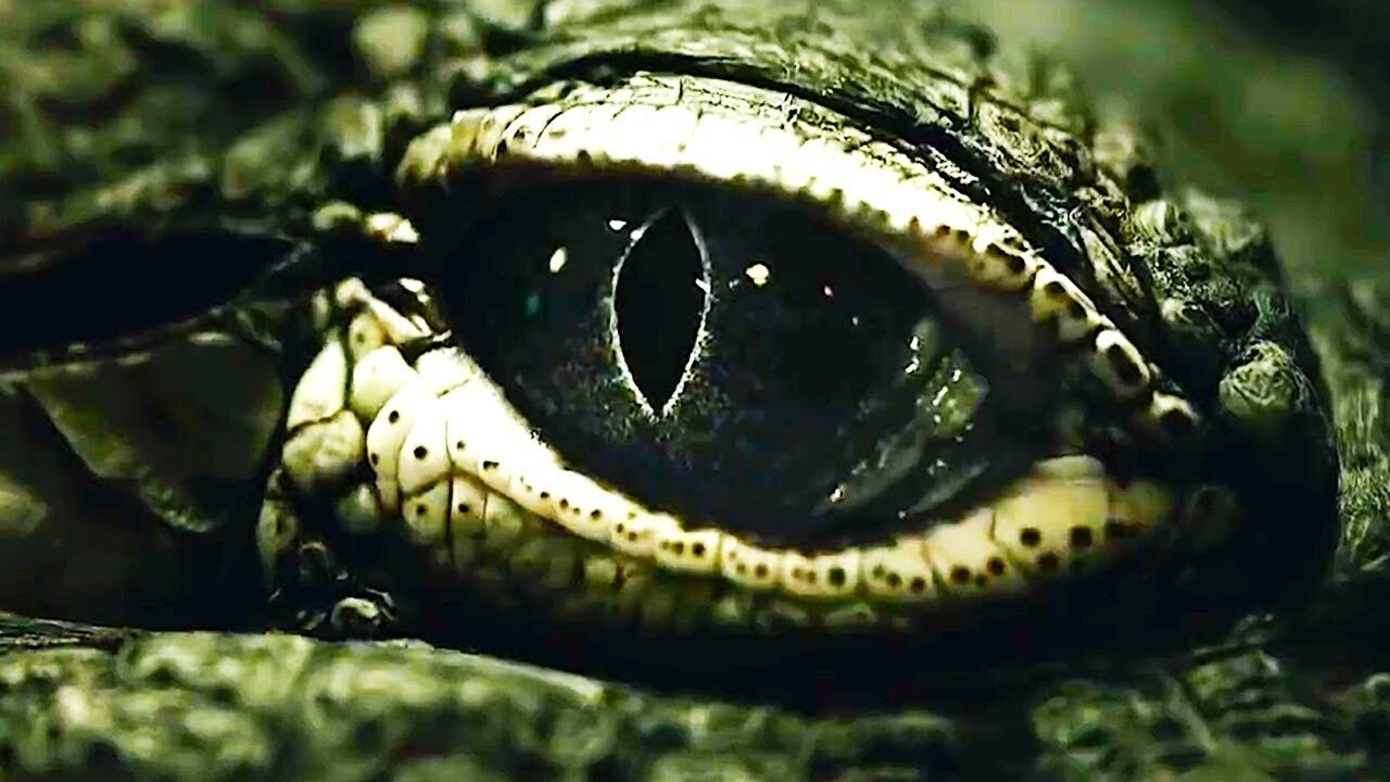 Saltwater: The Battle for Ramree Island Background