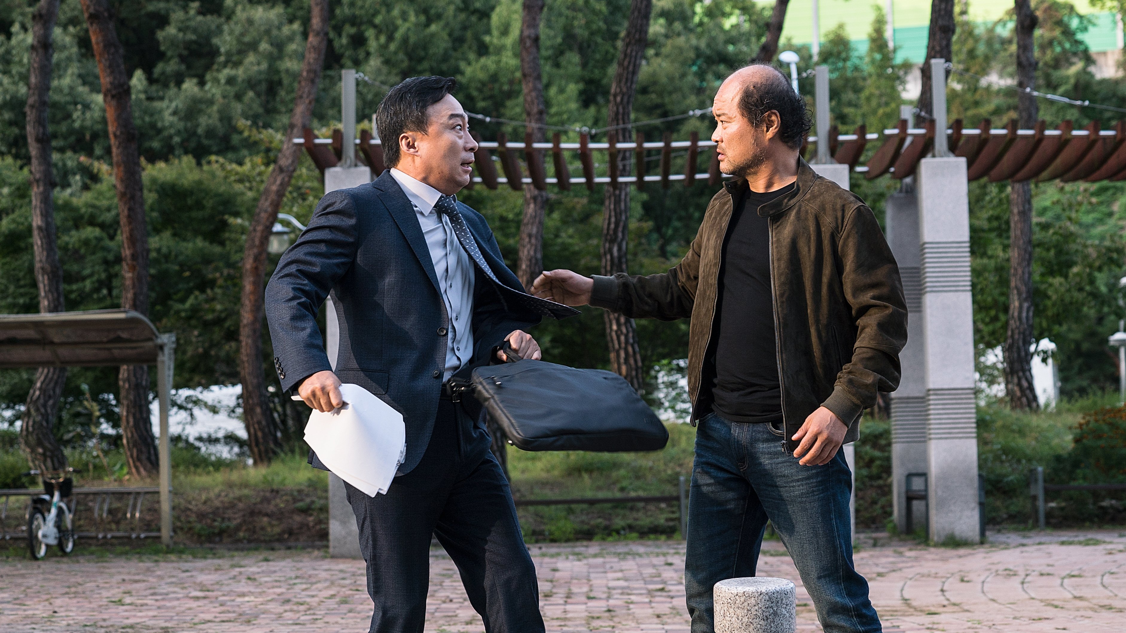 The Witness Background