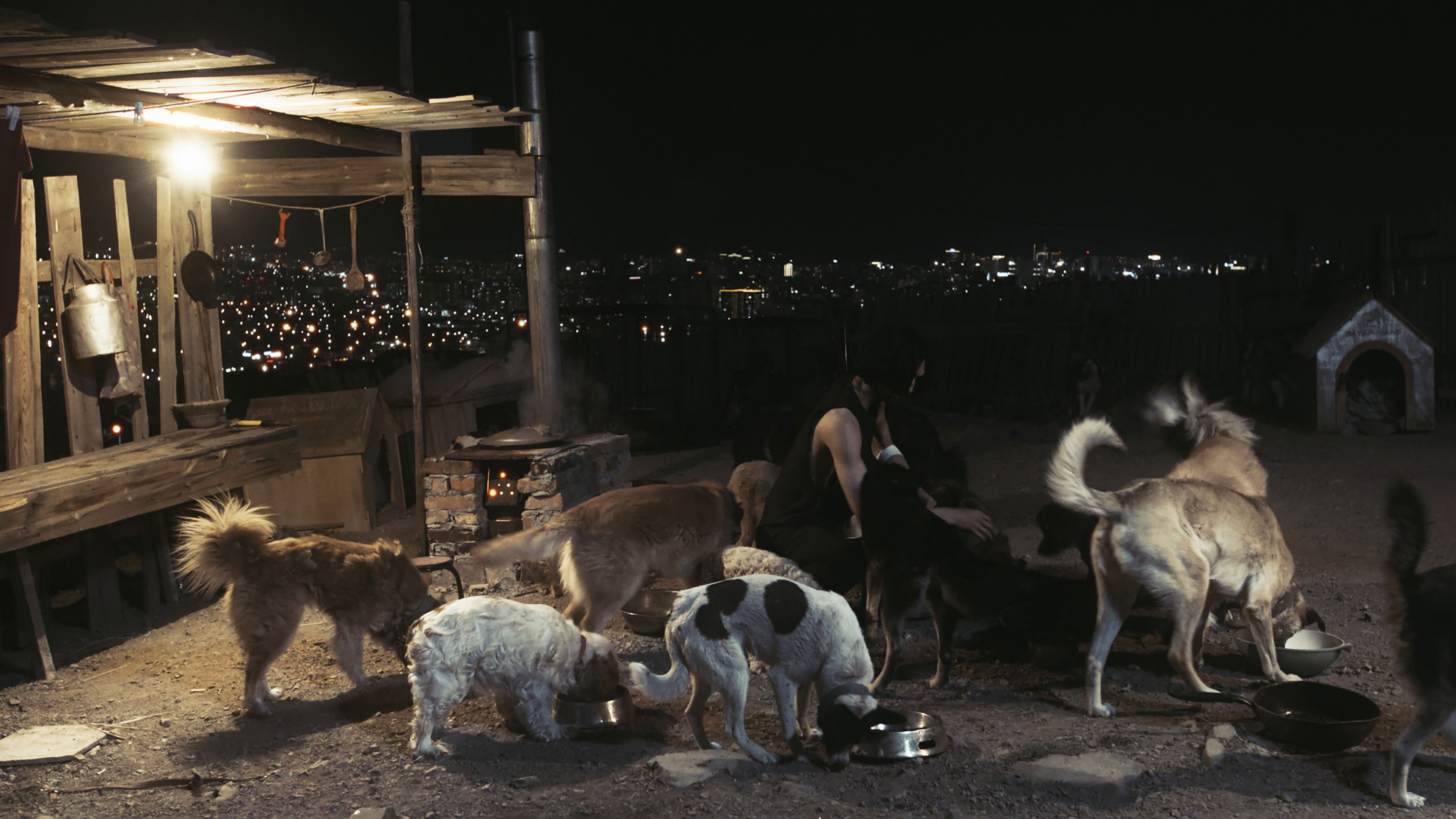 Silent City Driver Background