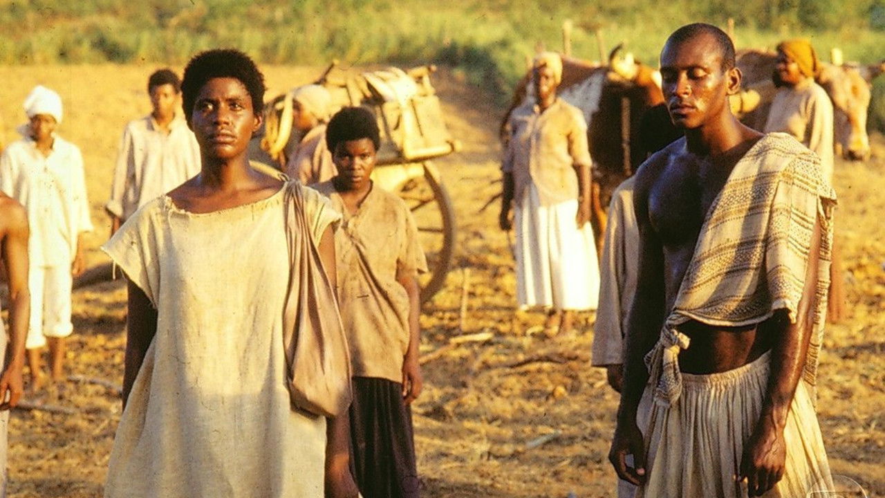 Abolição Background