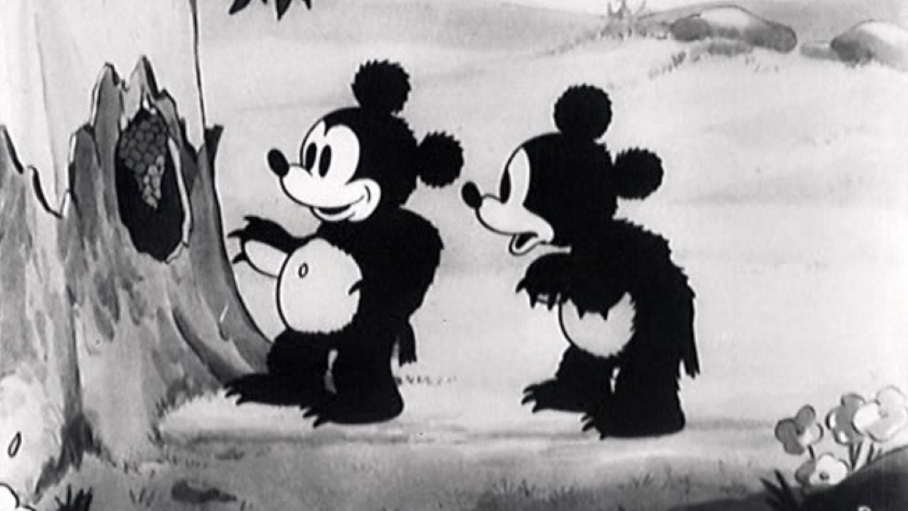 The Bears and the Bees Background