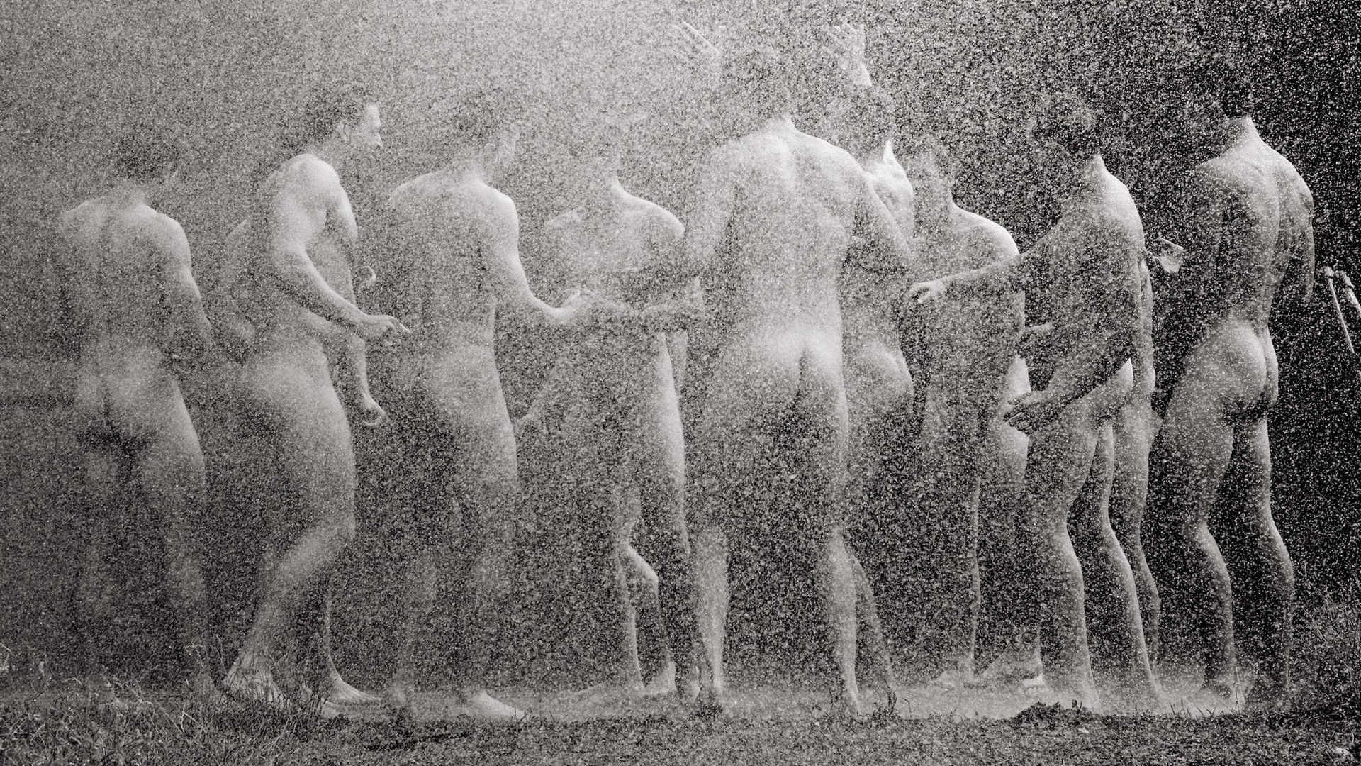 The Warwick Rowers - Some Like it Hotter Background