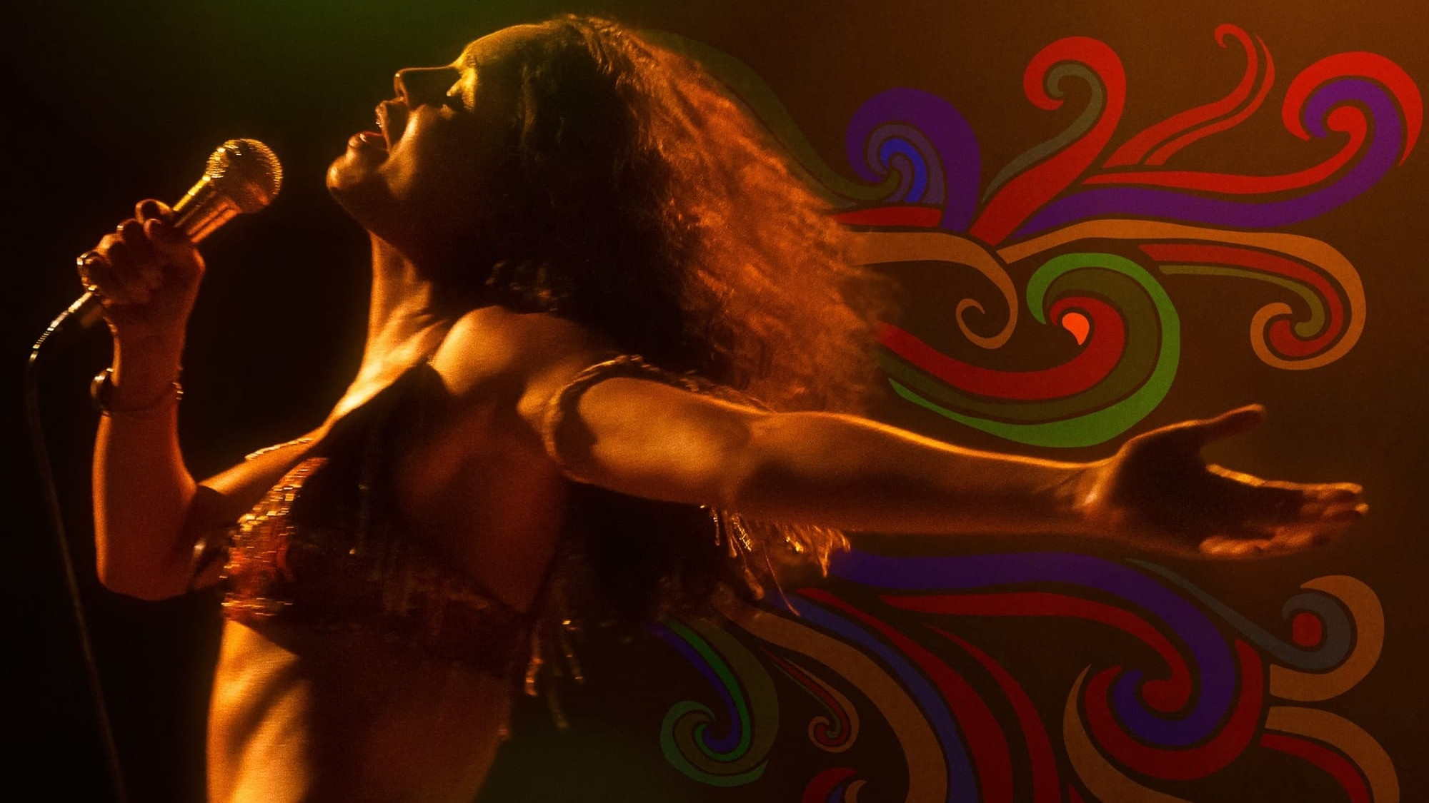 Meu Nome é Gal Background