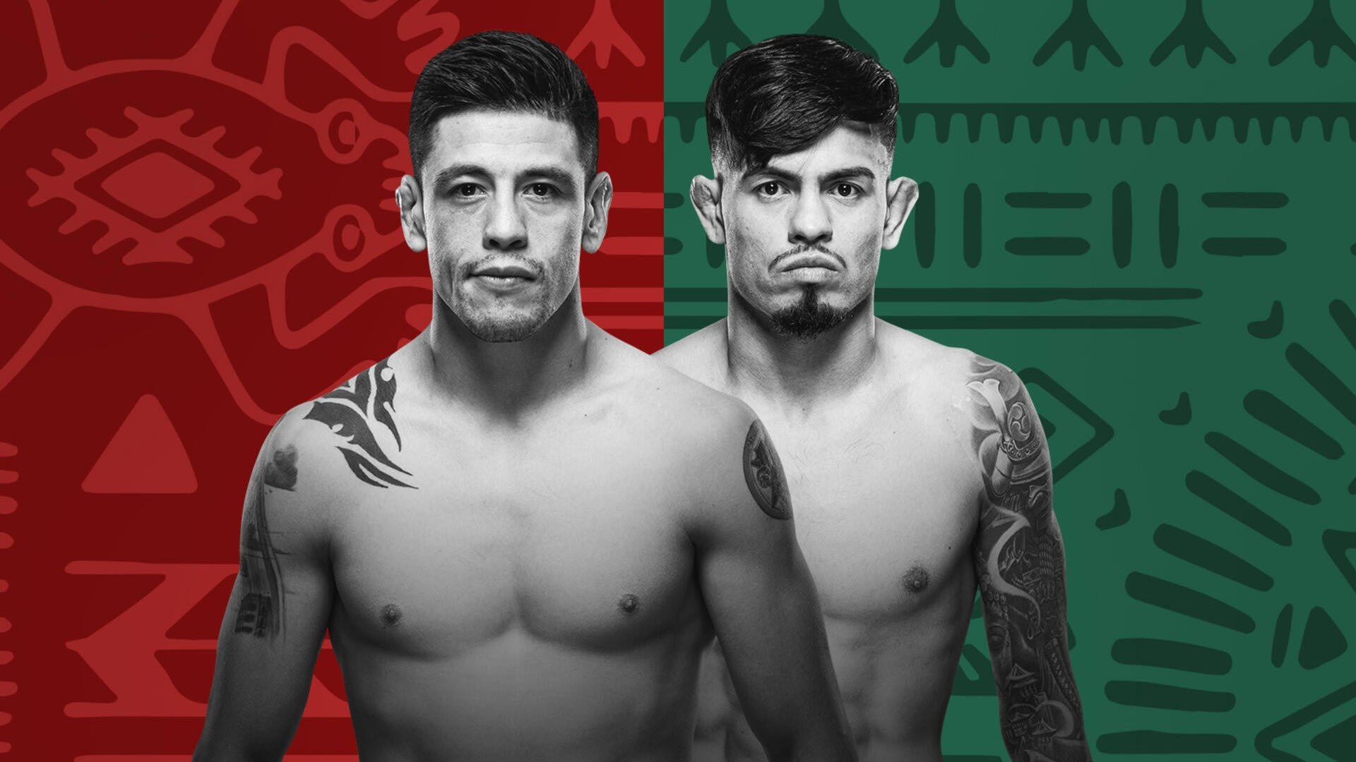 UFC Fight Night 237: Moreno vs. Royval 2 Background