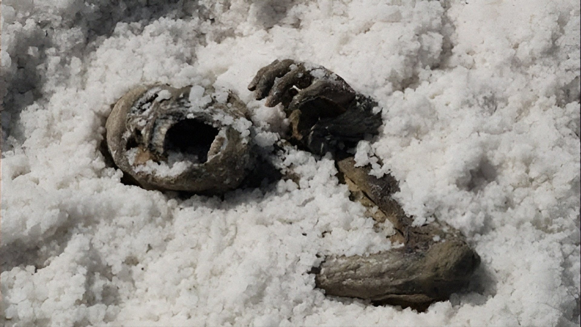 Bajo la Sal Background