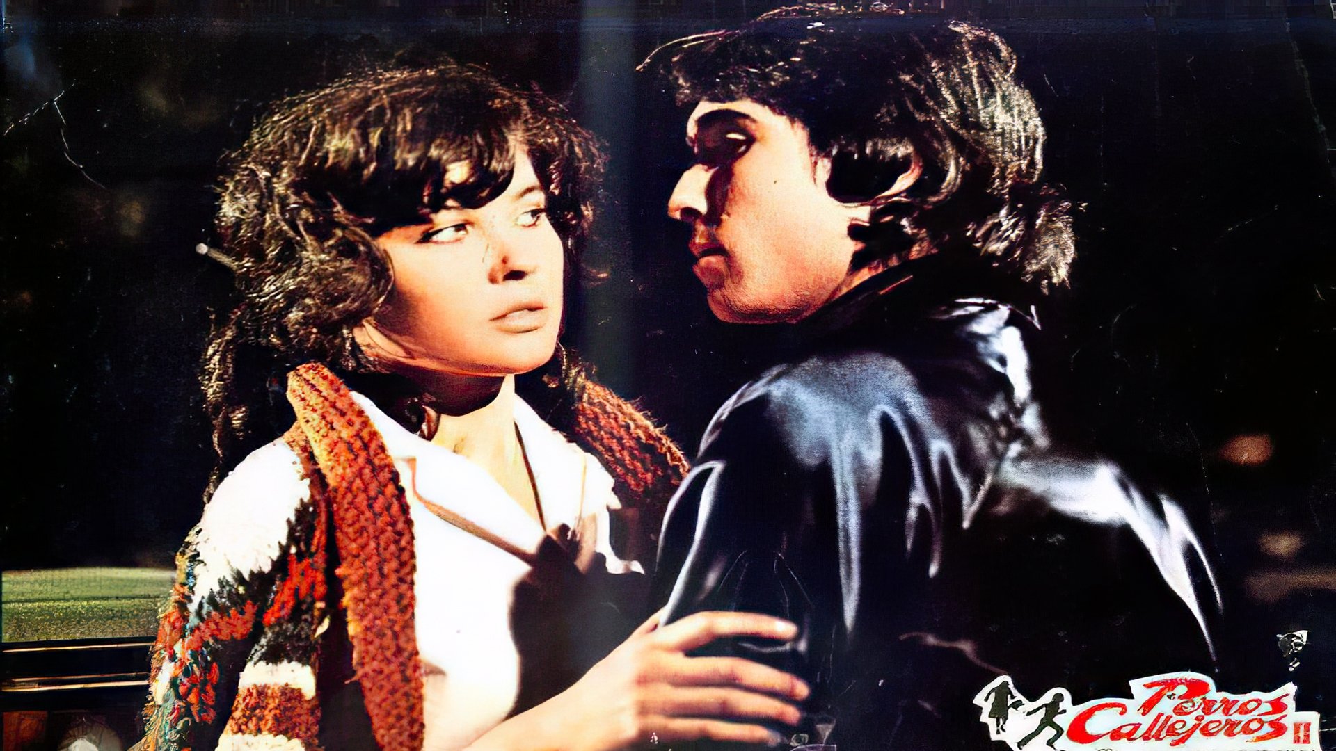 Perros callejeros II Background