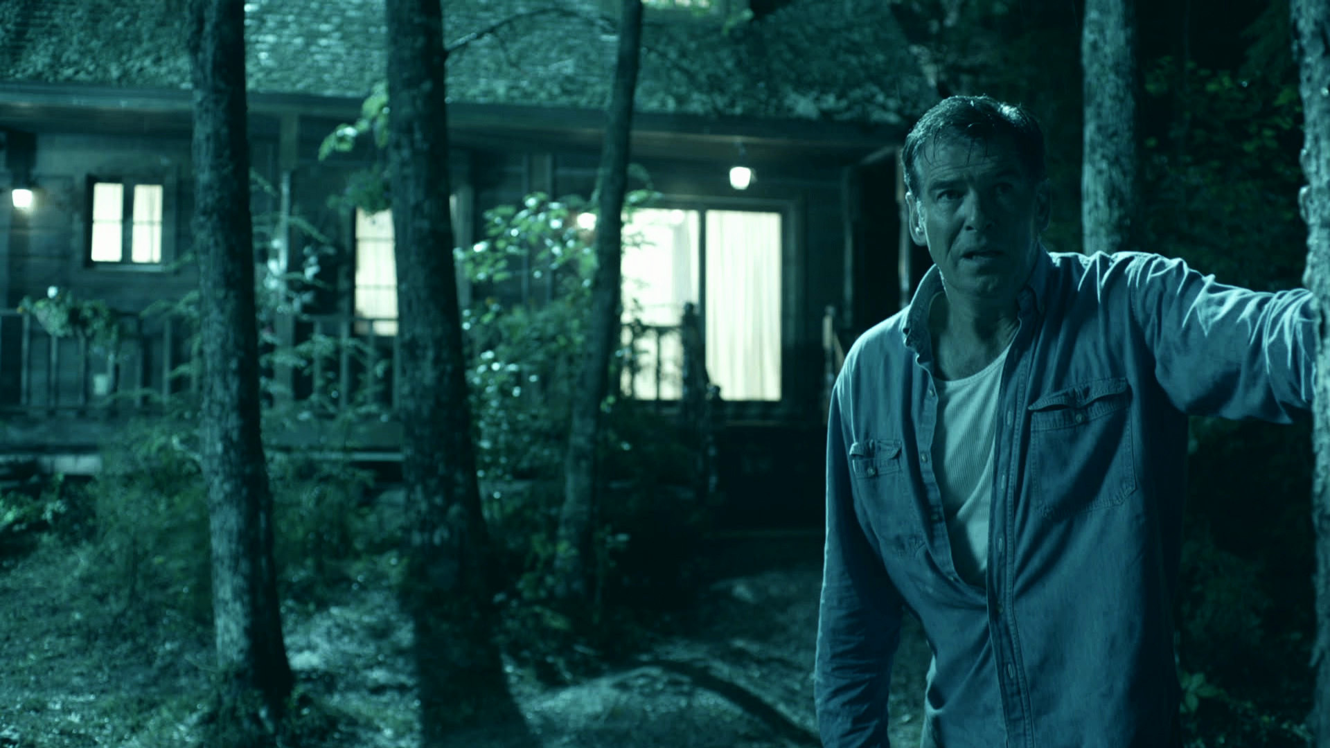 Bag of Bones Background