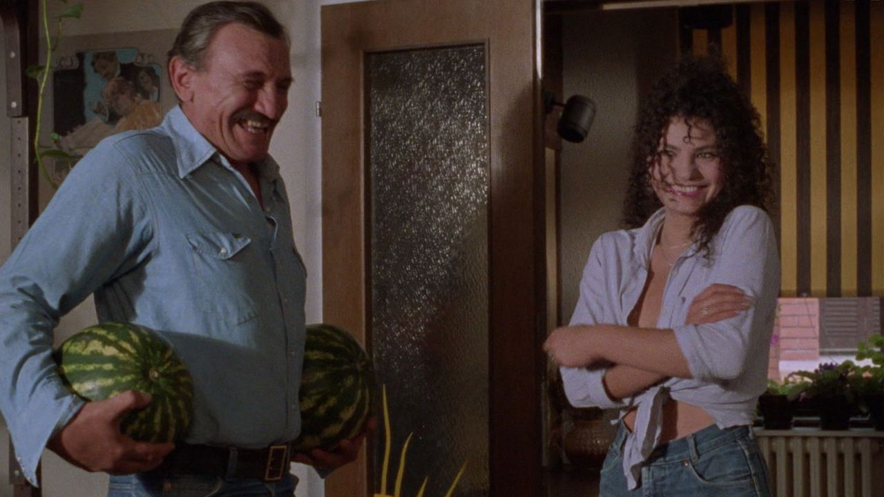 Zika's Dynasty Background