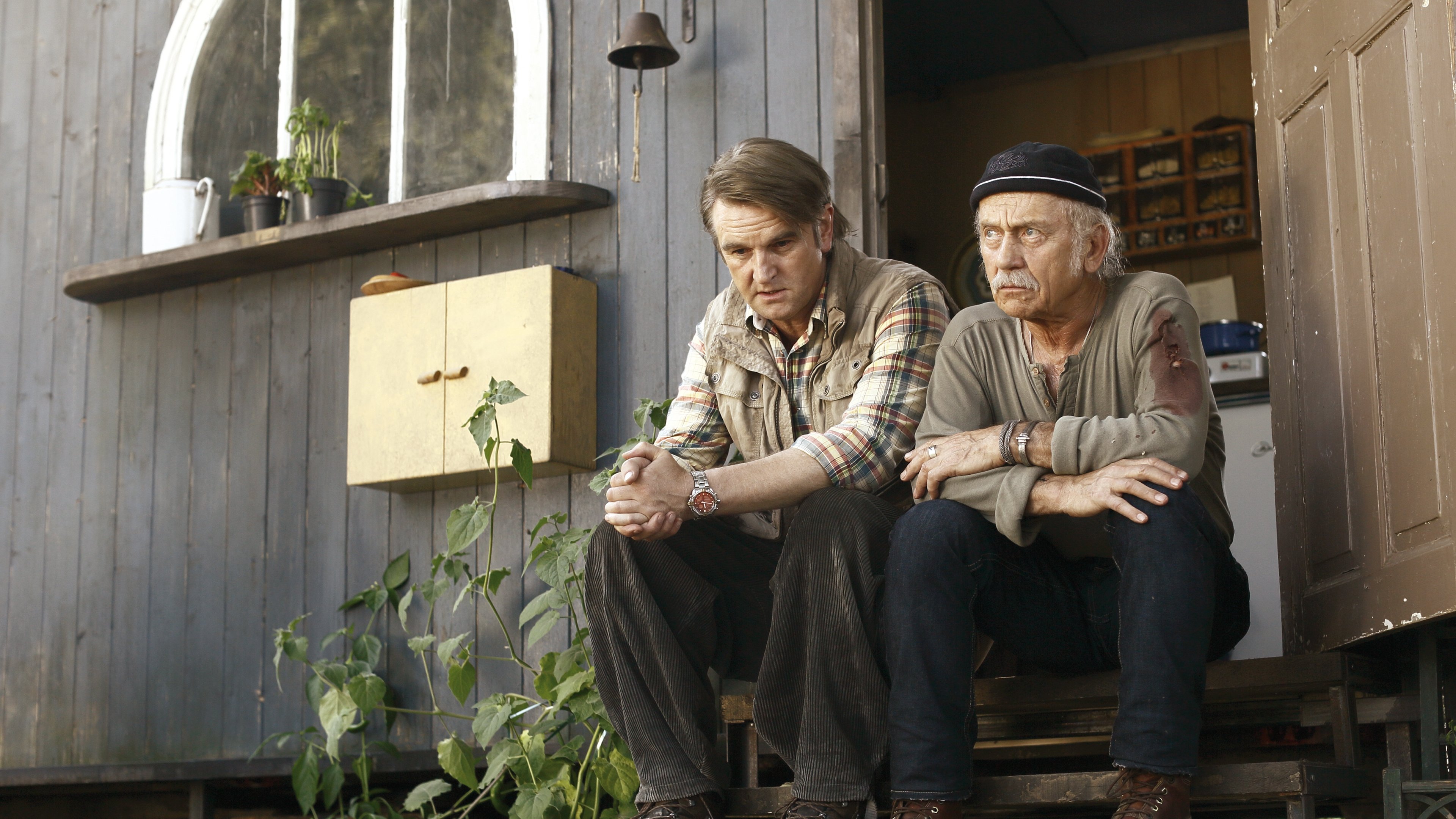 Windstorm Background