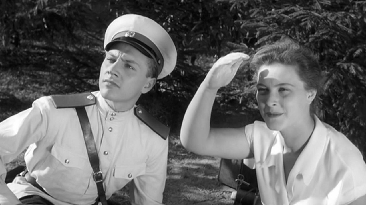 Case No. 306 Background