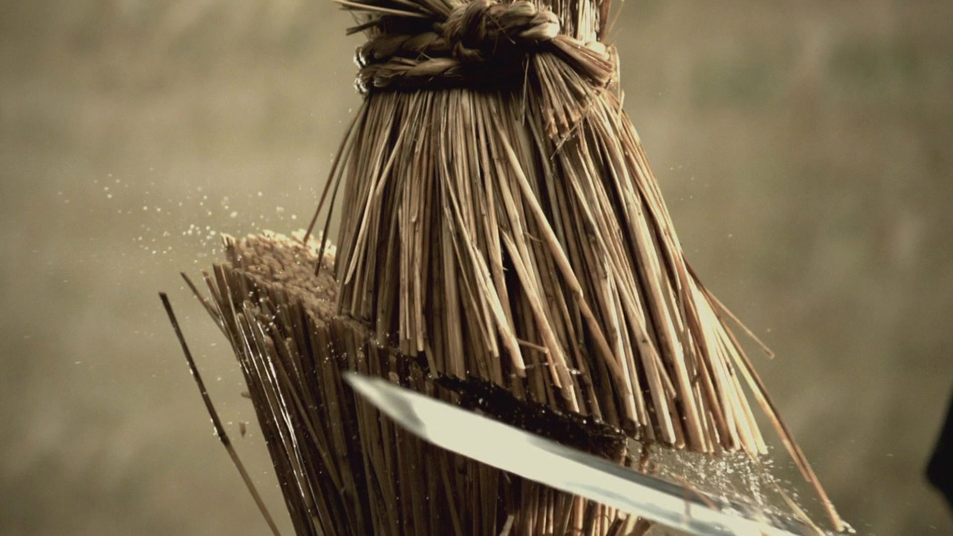 Love or Duty: Samurai Rebellion Background