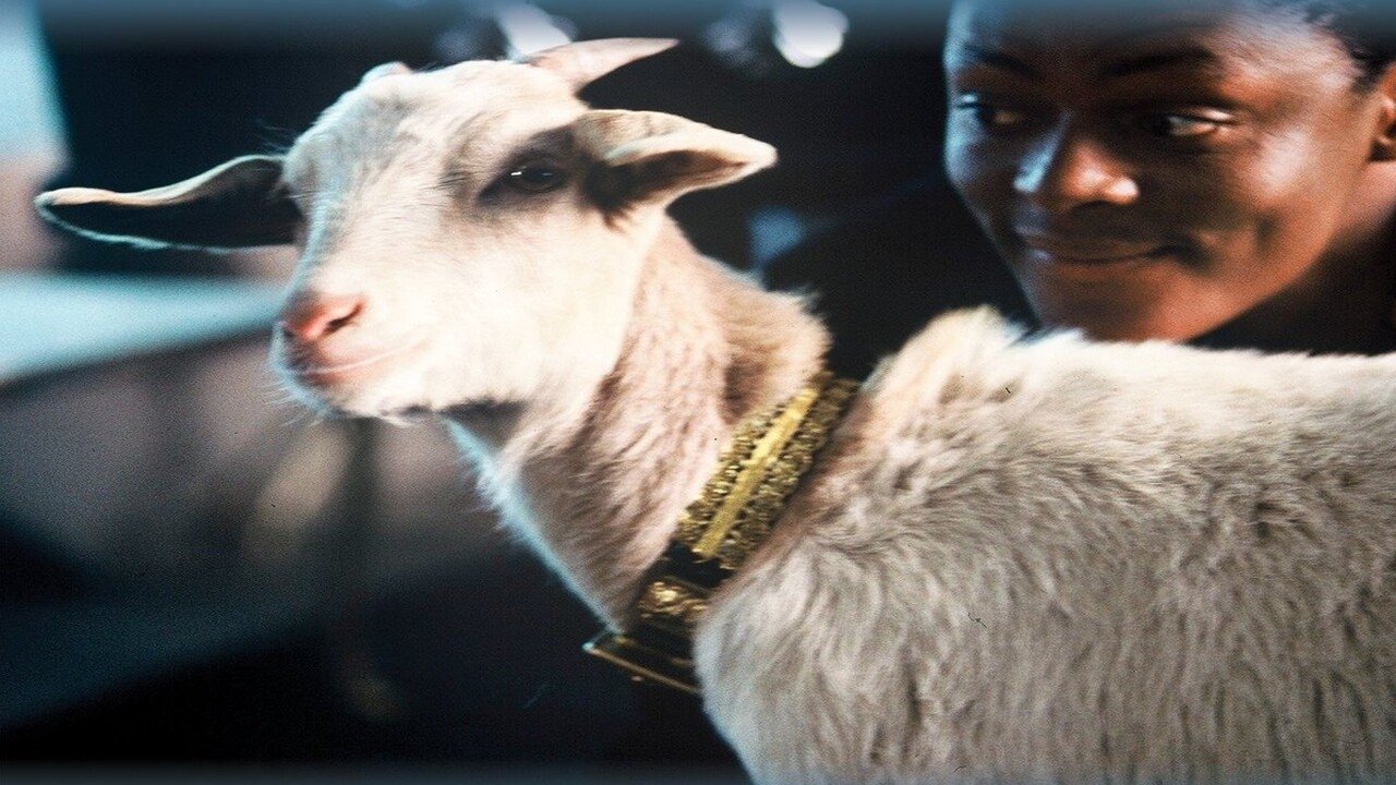 Max and Mona Background