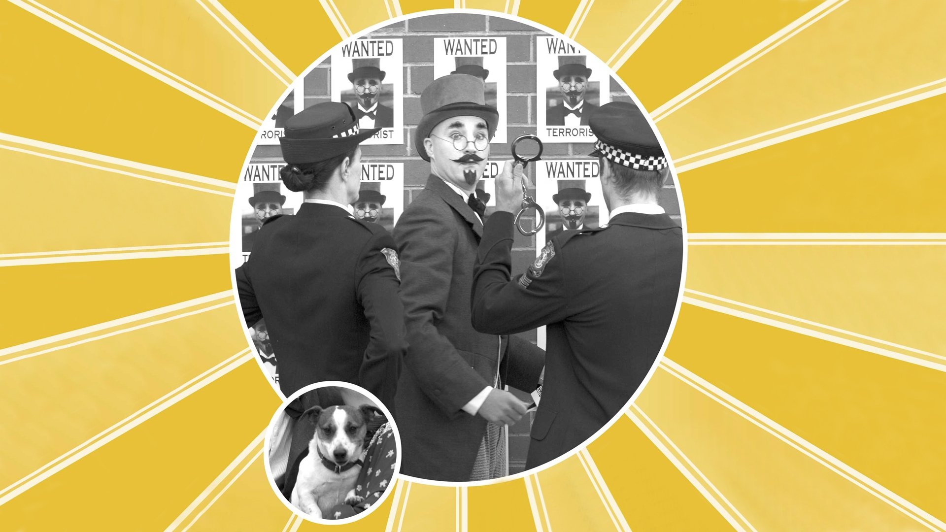 Dr. Plonk Background