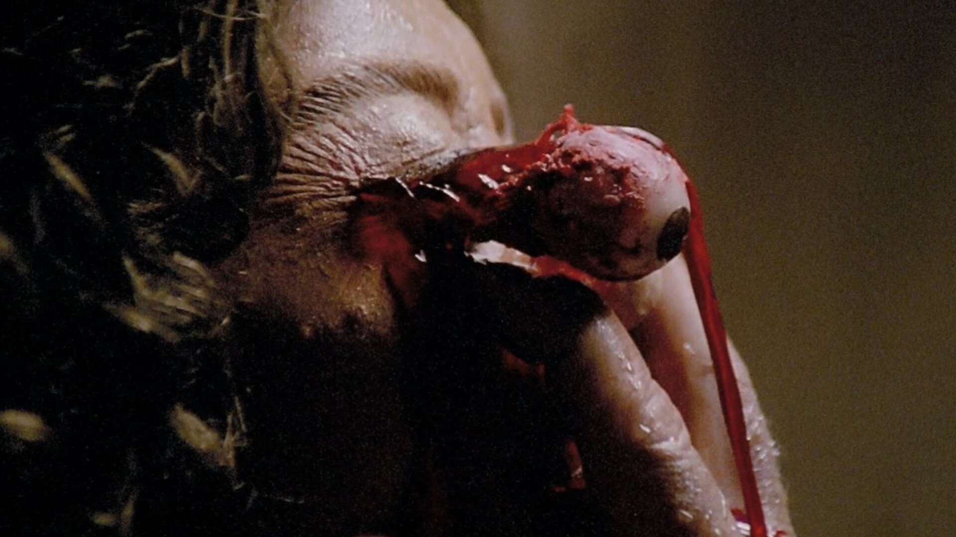 The Beyond Background