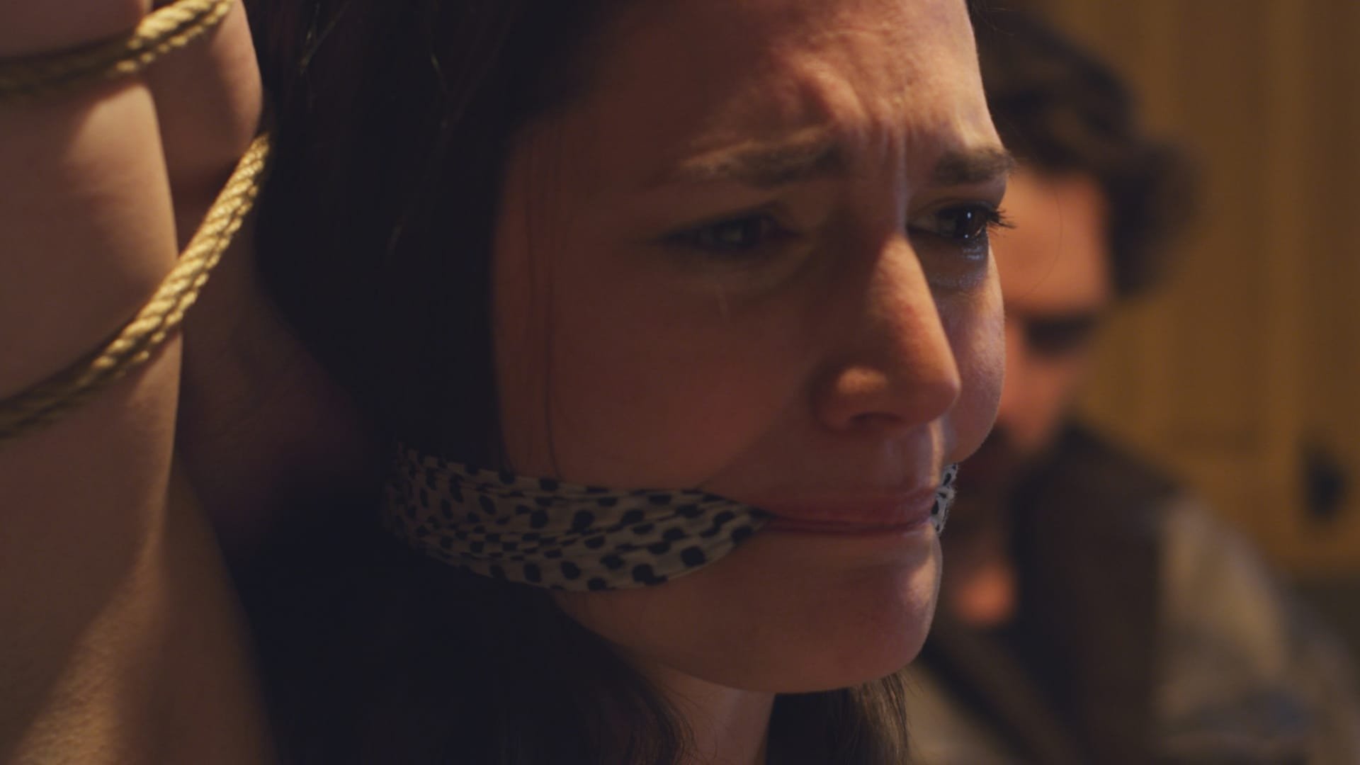 Deadly Virtues: Love. Honour. Obey. Background